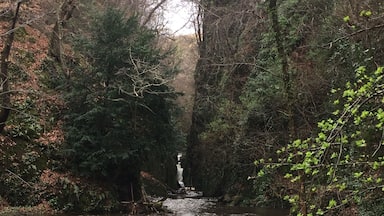 Close to my work and a beautiful glen, filled with waterfalls ... used to power the mills