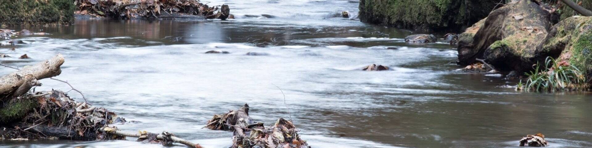 Lower falls at Alva glen