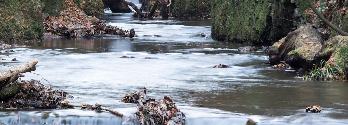 Lower falls at Alva glen