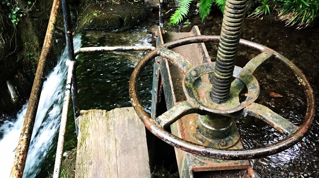 A water wheel ... not in use, but still intact at one of the smaller waterfalls which used to power the mills, back in the day ... I love the history of this glen