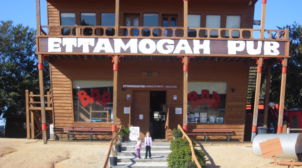 Ettamogah pub was in a comic that was very popular in Australia. Some enterprising individuals built replicas as tourist attractions. This one is near Albury?Wodonga on the New South Wales /Victoria border.
#Ettamogah, #pub, #comic, #bar, #australia, #drinks,
www.wyldfamilytravel.com