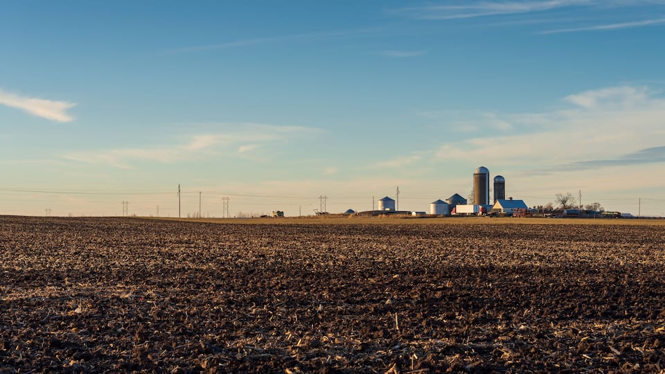 A vast agricultural field with a few buildings and silos in the distance under a clear sky.
