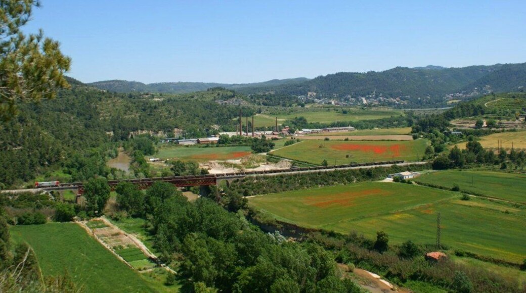 La 254.03 sobre el pont dels carburos al municipi de Castellgalí, amb el saler del matí de retorn cap a Manresa-Alta. La 254.03 sobre el "pont dels carburos" en el municipio de Castellgalí, con el salero de la mañana volviendo hacia Manresa-Alta.