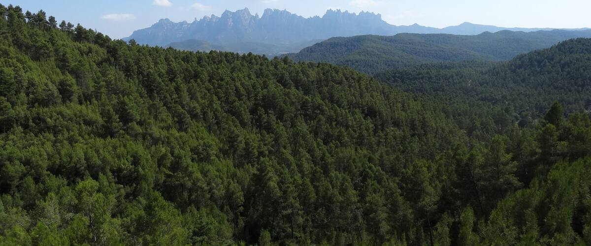 Montserrat des de Castellgalí (juliol 2012)