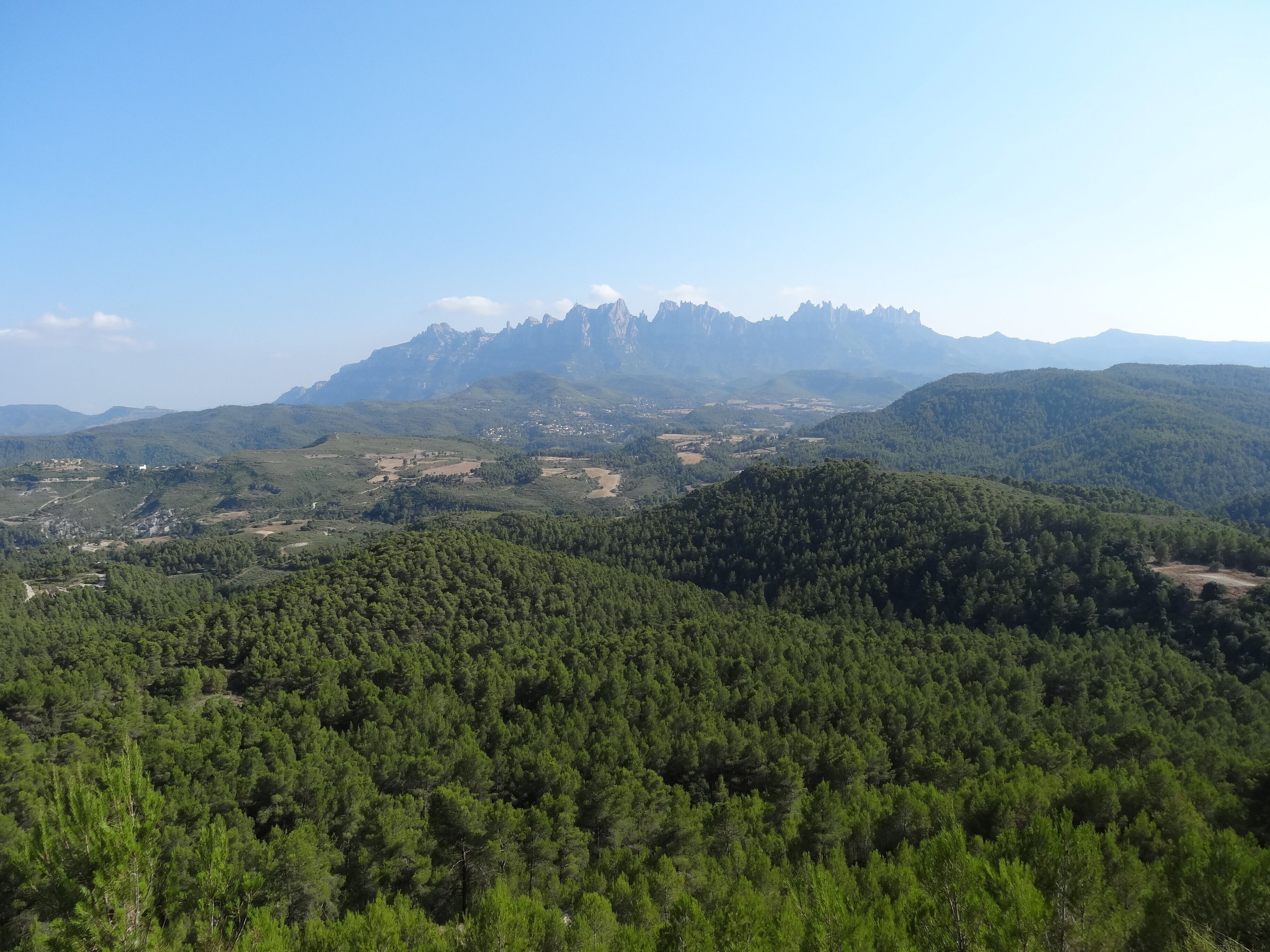 Montserrat des d'El Talló, Castellgalí (juliol 2012)