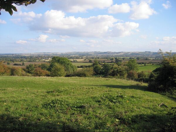 Rushy Meade ancient meadow, Pulloxhill, Beds. View ESE across the square, towards the chalk escarpment N of Barton-le-Clay.