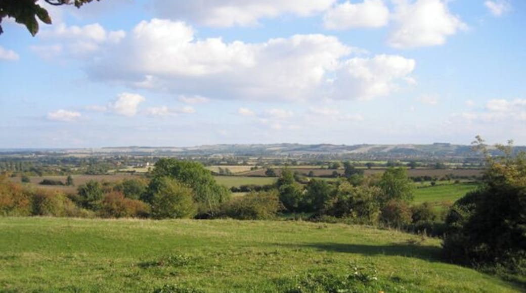 Rushy Meade ancient meadow, Pulloxhill, Beds. View ESE across the square, towards the chalk escarpment N of Barton-le-Clay.