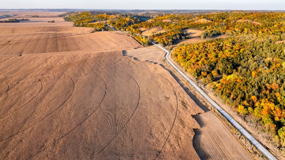 Fall Color in the Loess Hills State Forest. Loess Hill on the east side of the Missouri River in Iowa