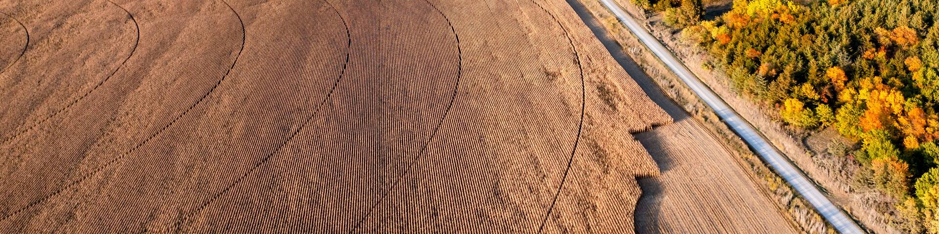 Fall Color in the Loess Hills State Forest. Loess Hill on the east side of the Missouri River in Iowa