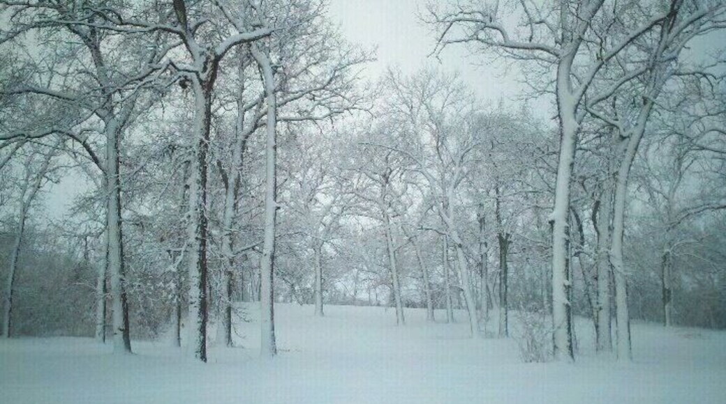 A little park near Glenwood Resource Center that was absolutely beautiful this winter.