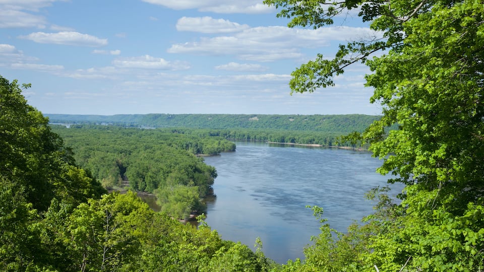 A river surrounded by dense green forest and hills in the background.