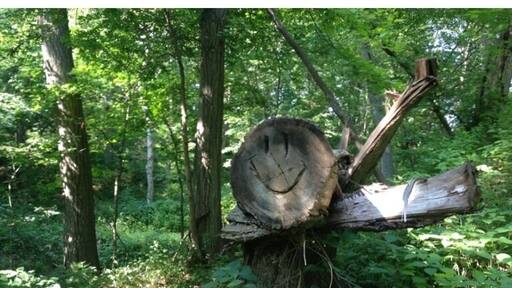 Large woods on the foothills of the Loess Hills. Miles of trails for hiking and horseback riding. #treetrove