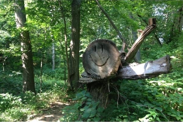 Large woods on the foothills of the Loess Hills. Miles of trails for hiking and horseback riding. #treetrove