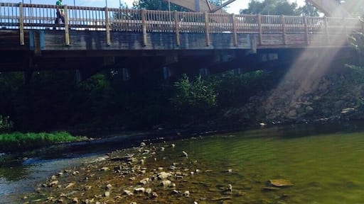For my volunteer work in Iowa, my team and I had the privilege of re-staining and preserving the what once was the country's largest free-standing bridge. Located in rural eastern Iowa in a small Amish populous town, Hazleton. Great great camping ground that has completely solar operated cabins. Great service learning and peaceful play!