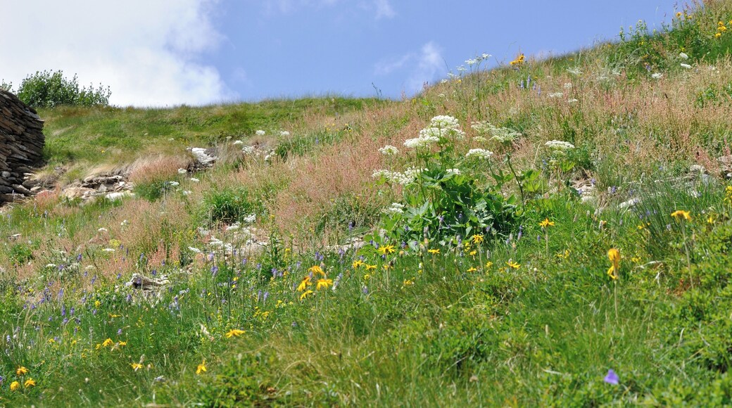 Switzerland, Graubünden, views along the hiking trail from Bernina Pass to Alp Grüm