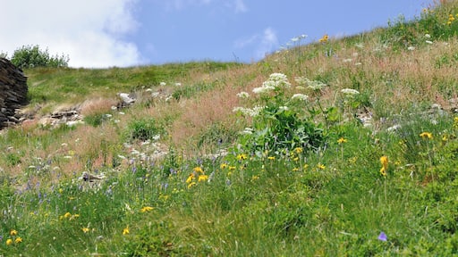 Switzerland, Graubünden, views along the hiking trail from Bernina Pass to Alp Grüm
