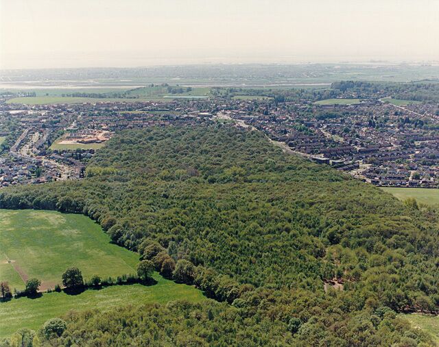 Aerial view of West Wood Hadleigh, from the north West Wood is one of the larger woodlands in Castle Point. It was recently purchased from the Church Commissioners by Castle Point Borough Council, and will be guaranteed public access for the foreseeable future. West Wood has been extensively coppiced over the centuries and holds a number of typical ancient woodland indicator species, such as Wild Service Tree. The area of woodland at the bottom of the picture is Cottage Plantation.