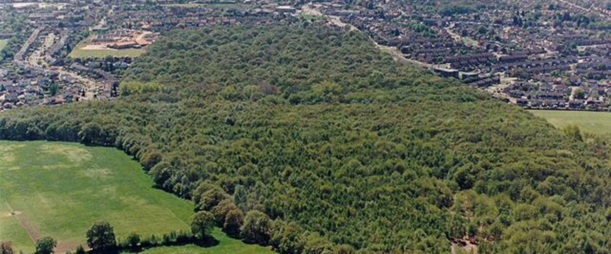 Aerial view of West Wood Hadleigh, from the north West Wood is one of the larger woodlands in Castle Point. It was recently purchased from the Church Commissioners by Castle Point Borough Council, and will be guaranteed public access for the foreseeable future. West Wood has been extensively coppiced over the centuries and holds a number of typical ancient woodland indicator species, such as Wild Service Tree. The area of woodland at the bottom of the picture is Cottage Plantation.