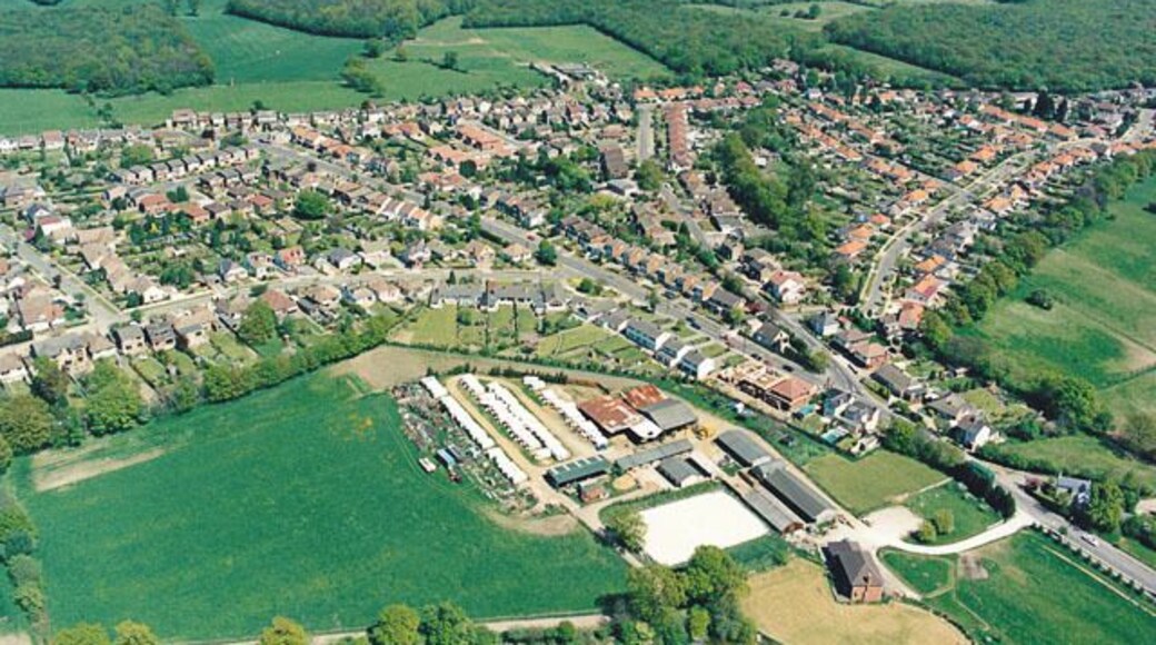 Aerial view of Daws Heath estate and the woods beyond