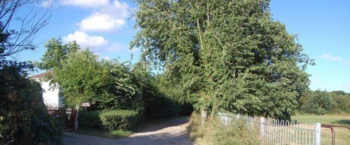 A gravel road leading through a rural area with trees and a fence on the right.