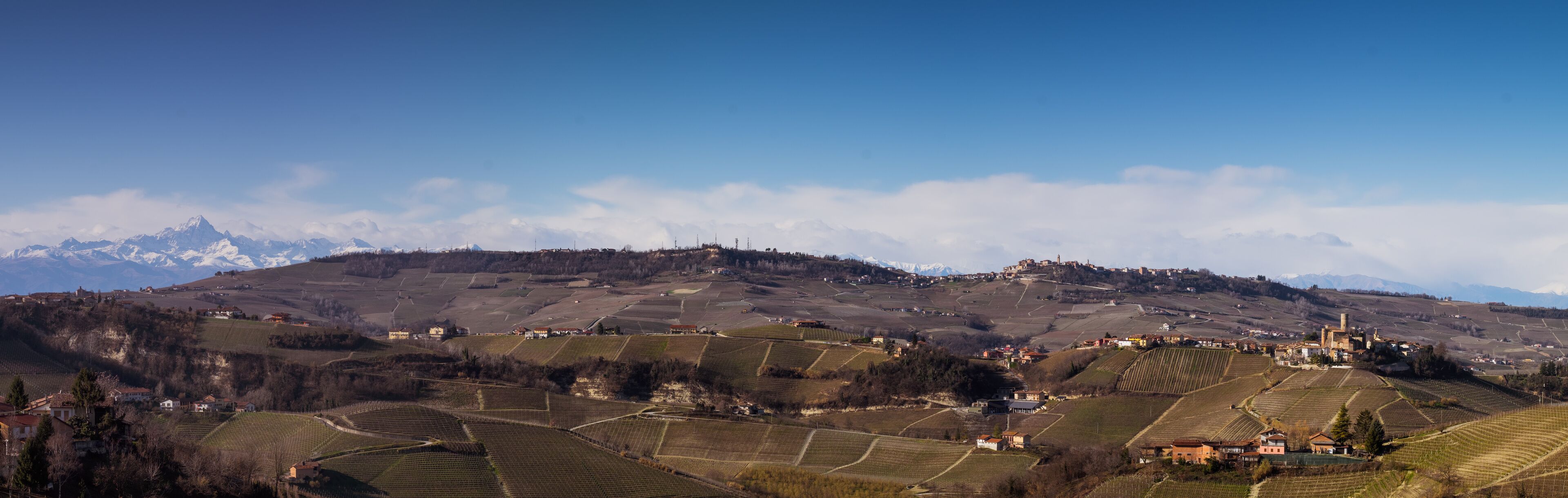 A vineyard landscape with rolling hills, scattered houses, and distant snow-capped mountains under a clear sky.