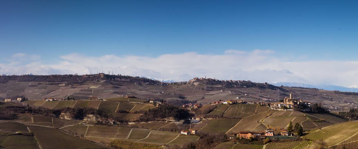 A vineyard landscape with rolling hills, scattered houses, and distant snow-capped mountains under a clear sky.