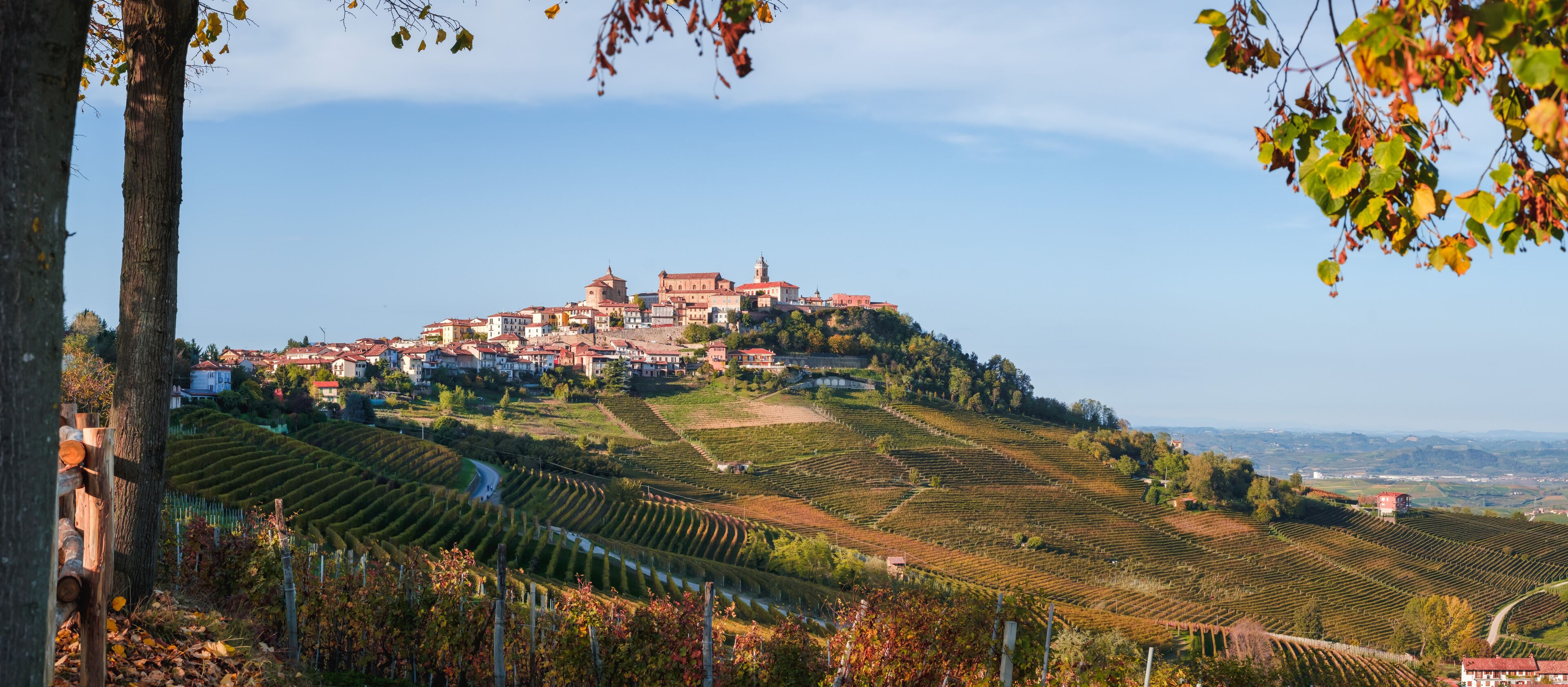 Langhe e Roero