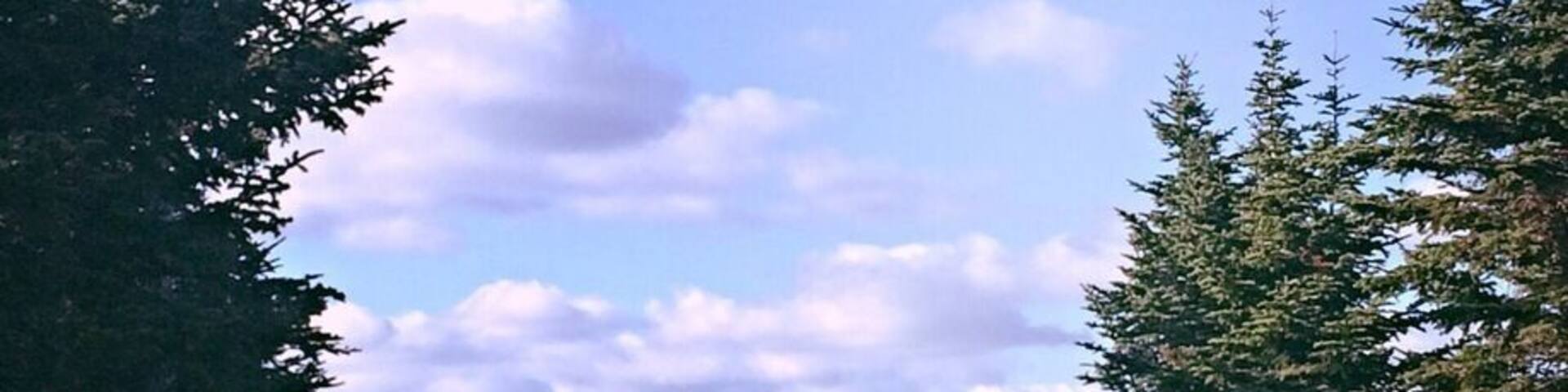 Mt. Snow. Vermont..
Didn't pack a sweat shirt and Temperatures fell bellow 50 and got quite windy at the peak.....Good times...
#hiking
#waterlust