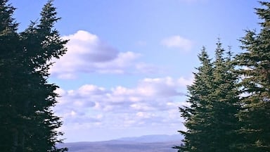 Mt. Snow. Vermont..
Didn't pack a sweat shirt and Temperatures fell bellow 50 and got quite windy at the peak.....Good times...
#hiking
#waterlust