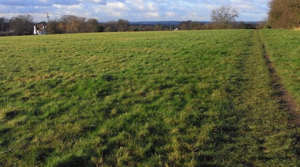 Pasture, Three Mile Cross A footpath follows the edge of the field before a slight descent to the village.