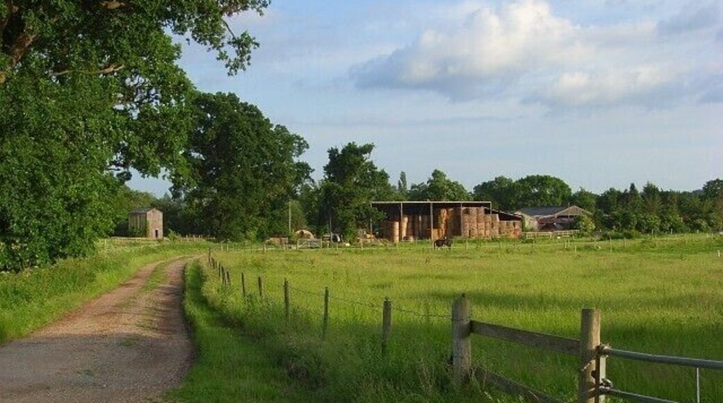 Farm track, Swallowfield The public footpath heading towards Sheepbridge Court Farm.