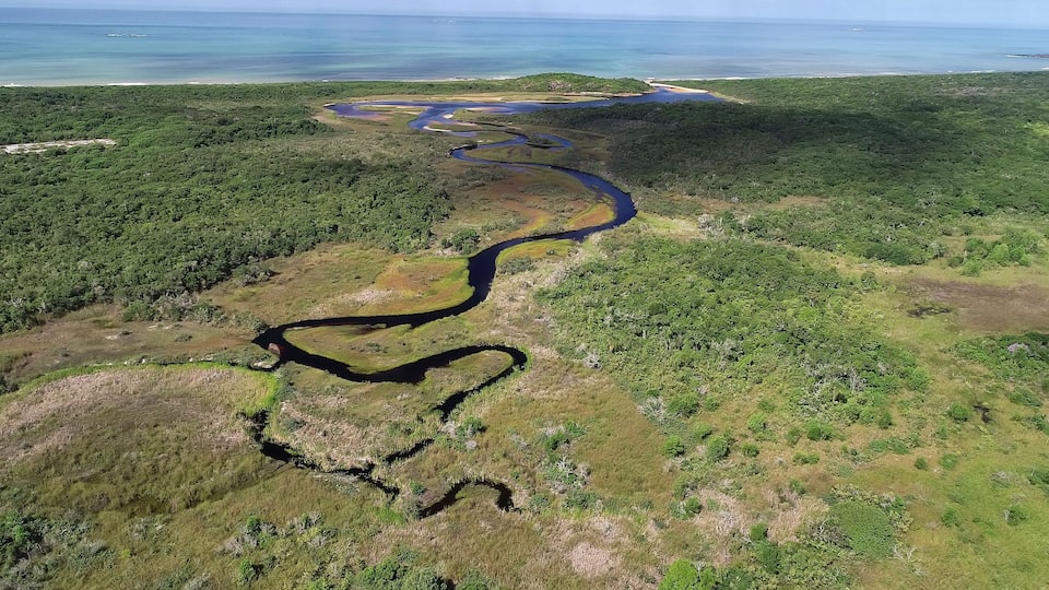 An aerial view of a winding river through a dense forest, leading to a coastal area with clear blue waters.
