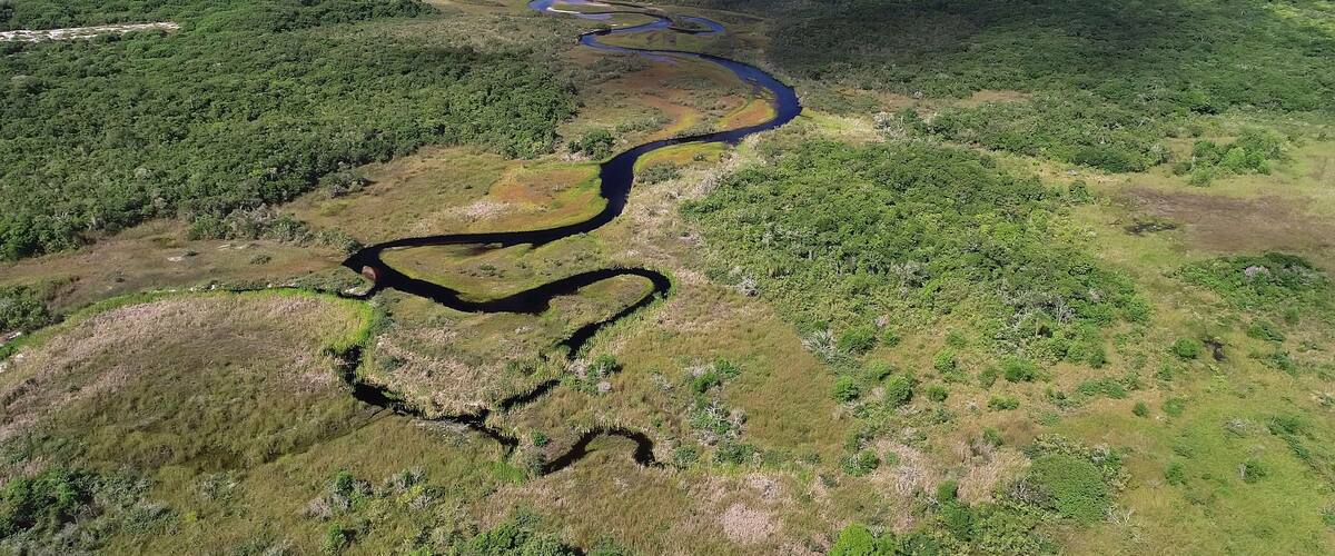 An aerial view of a winding river through a dense forest, leading to a coastal area with clear blue waters.
