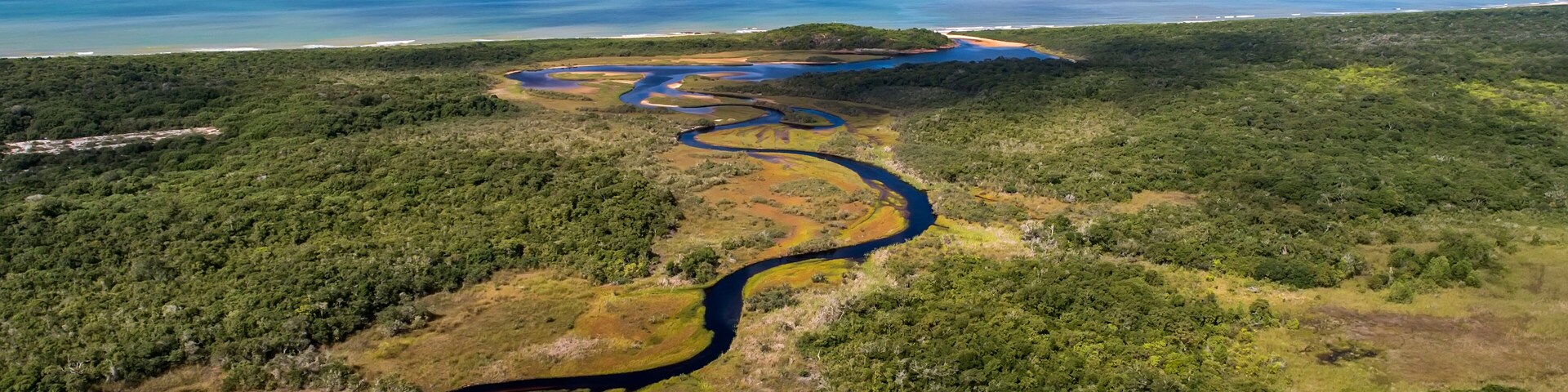 Un río serpentea a través de un bosque denso, con una playa y el océano al fondo.