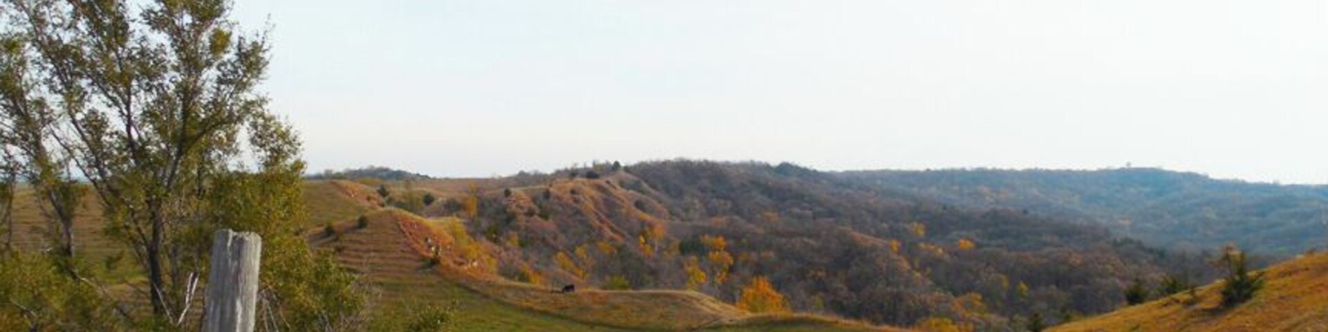 The Loess Hills area of Iowa is one of only two places in the world where silt deposits create landforms this dramatic - the other is in the Yellow River Valley of China. #roadtrip