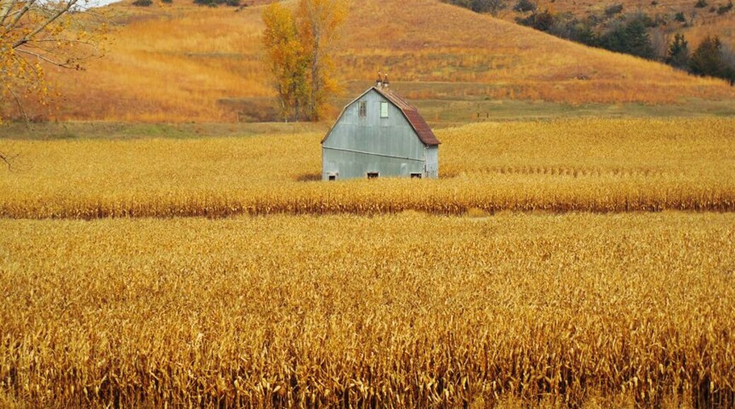 An old barn along Iowa's Loess Hills National Scenic Byway, October of 2014. #roadtrip