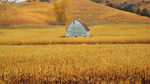 An old barn along Iowa's Loess Hills National Scenic Byway, October of 2014. #roadtrip