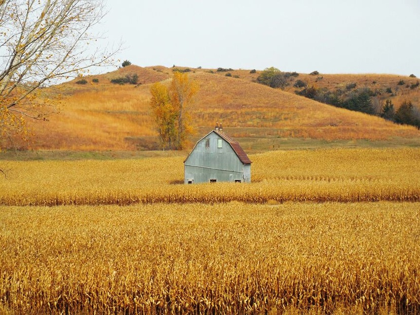 An old barn along Iowa's Loess Hills National Scenic Byway, October of 2014. #roadtrip