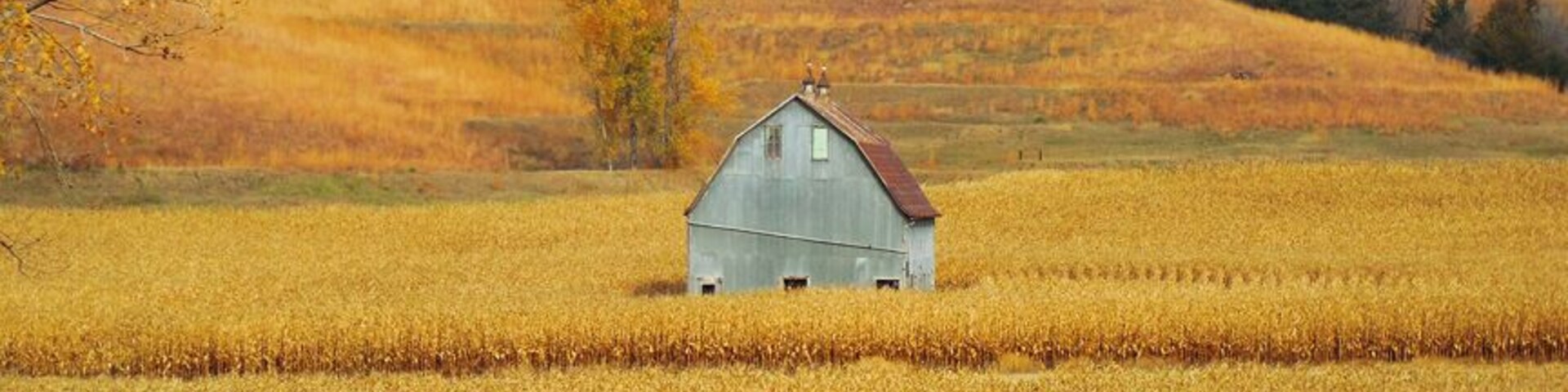 An old barn along Iowa's Loess Hills National Scenic Byway, October of 2014. #roadtrip