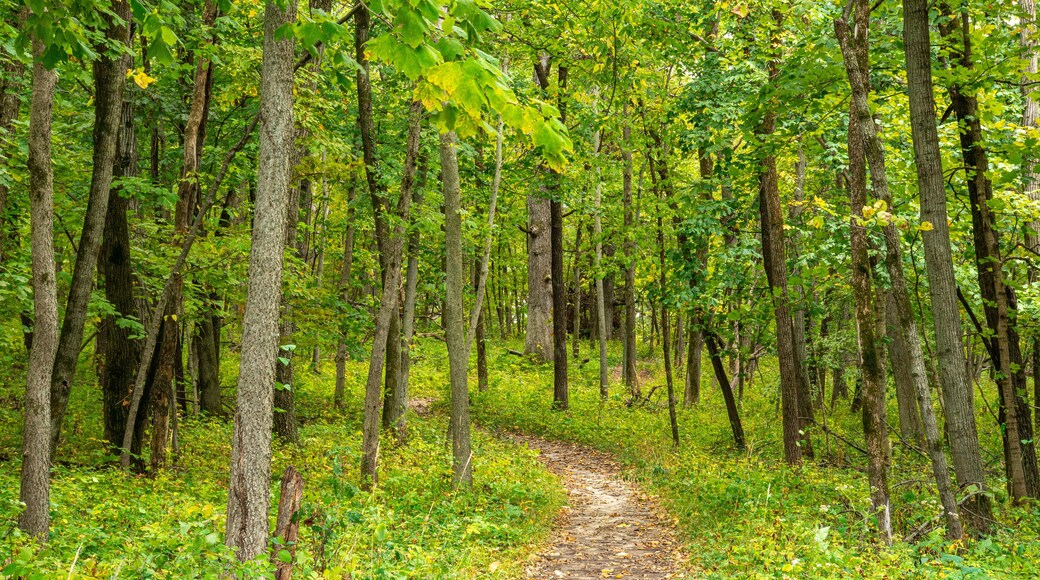 Jester State Park in Madrid, Des Moines Iowa