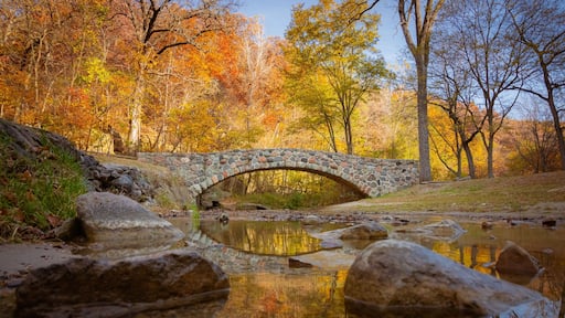 Pedestrian rock bridge over Peas Creek in Ledges State Park, Iowa, during fall
