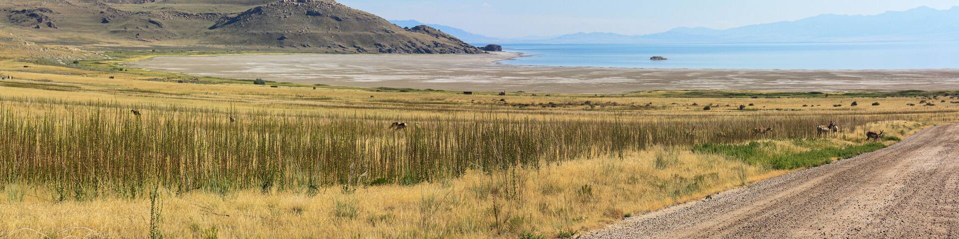 The Great Salt Lake landscape