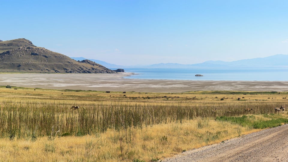 The Great Salt Lake landscape