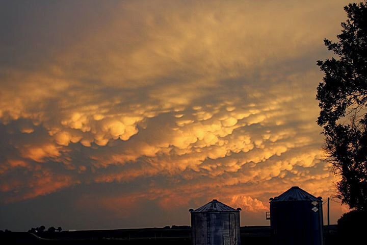 Mammatous clouds!
