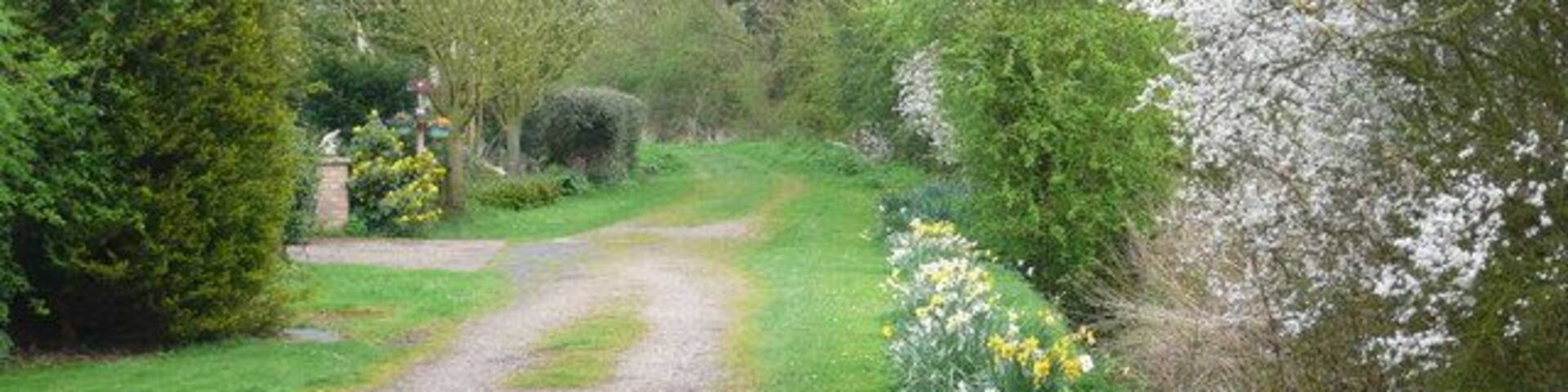 End of Church Lane Spring Church Lane Timberland