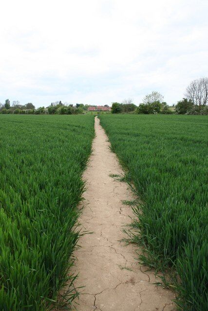 Footpath to Potterhanworth.