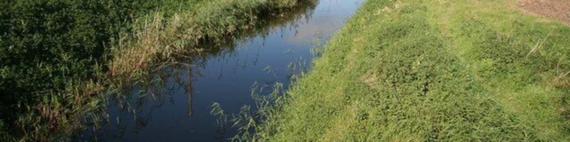 Twenty Foot Drain Looking northwest from Home Farm corner
