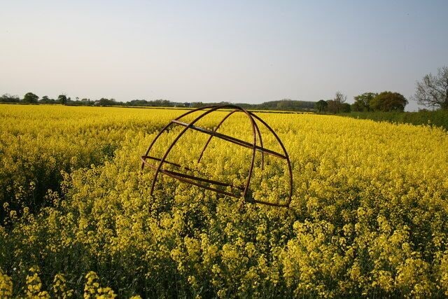 Steel frame sphere. A mysterious object in flowering oil seed rape off Bulpit Lane near Swinderby