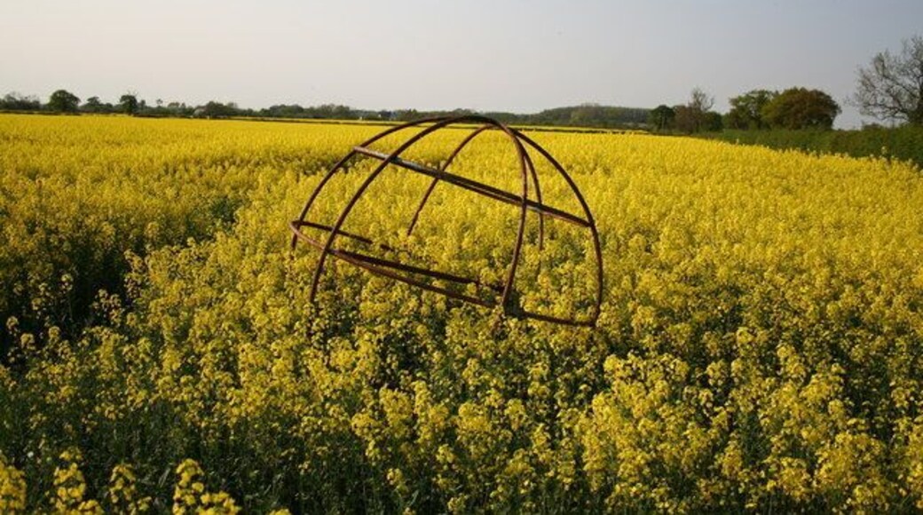 Steel frame sphere. A mysterious object in flowering oil seed rape off Bulpit Lane near Swinderby