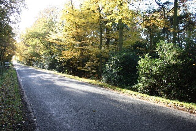Autumn on Southern Lane